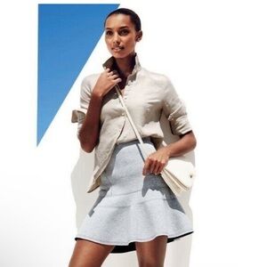 J. Crew Light Gray Skater Skirt